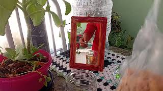 #housewifelife #dailyroutine #vlog