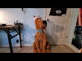 Animated Scooby Doo Gemmy 2020