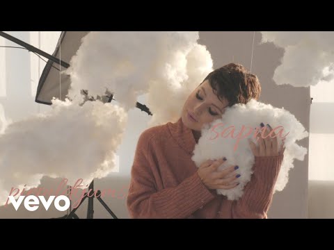 Elina Gluzunova - Sapna piepildijums (Lyric Video)