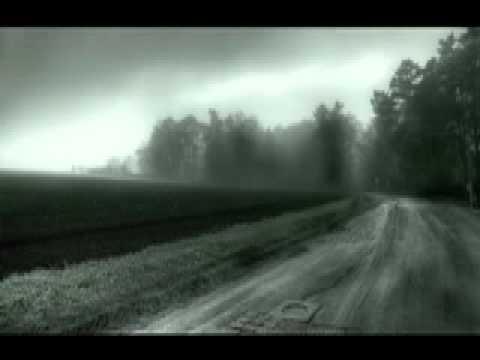 Bits & Buzz - Last your Shadow