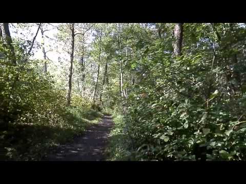 MongoTV_129 - Del 5 - Skovtur - Skovbænk Fremvises Og Olsen Snakker