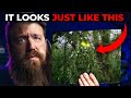 3 Disturbing Eyewitness Encounters Of Glimmer Man