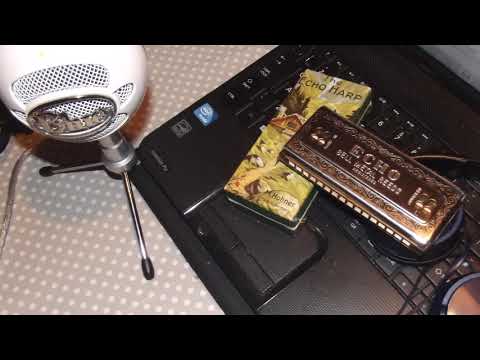 Isn't She Lovely (Hohner Echo Harp)