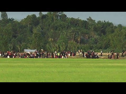 Rohingya flee Myanmar for Bangladesh after fresh violence