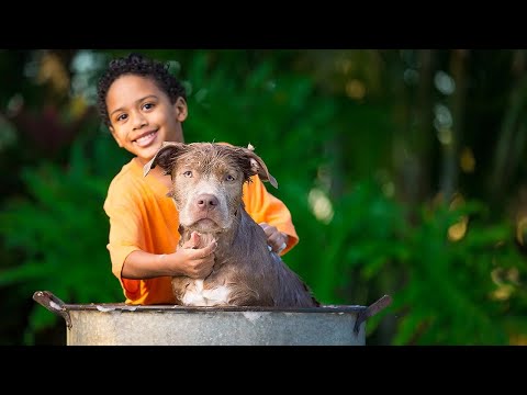 Part 2: Name Change Series: Name Change for Children | Maryland Courts