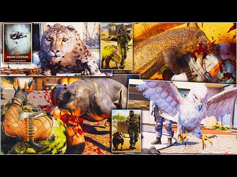 YouTube video about: How to get dog in warzone?