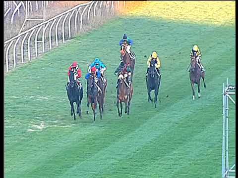 Galoppo 06/12/2017 - 4ª corsa