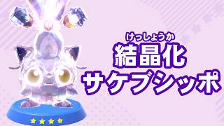 【2人実況】星のカービィ ディスカバリー＋スターリーワールドを協力(笑)プレイするぽよ part14