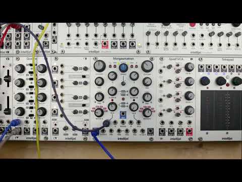 Morgasmatron Panel Overview