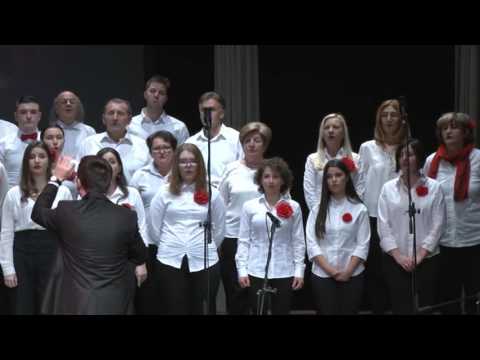 Svi dilberi-Choir LegeArtis Tuzla