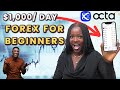 FOREX Tutorial For Beginners Using Octa