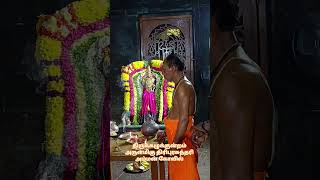 Temple video