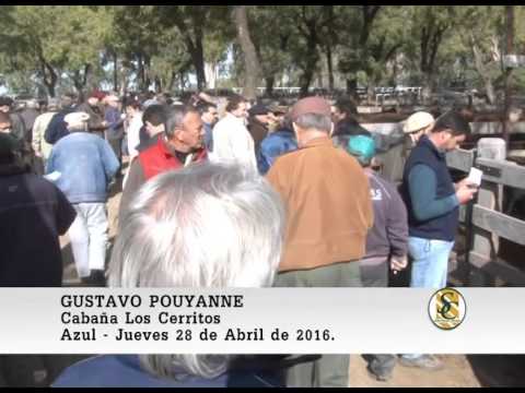 28-04-16 Nota Gustavo Pouyanne - Wallace Hnos S.A. - Azul.