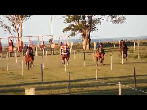 TURF 02 pista la felipa (marcelino)