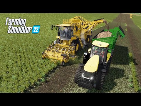 Sugar Beet Harvest with Ropa Panther 2 & Case IH Magnum 400 -  Farming Simulator 22