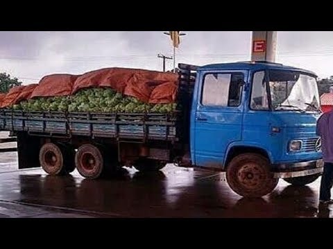 NO MUNDO DOS NORMAIS, OS LOUCOS SE DESTACAM ┃REI DA ESTRADA