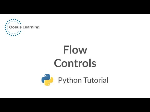 Python Basics 101 Flow Controls