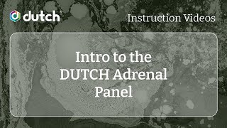 DUTCH Adrenal: Intro to the DUTCH Adrenal Panel | The DUTCH Test