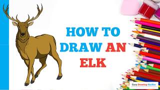 How to Draw an Elk in a Few Easy Steps: Drawing Tutorial for Beginner Artists