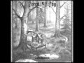 Forest of fog -Feuersturm 