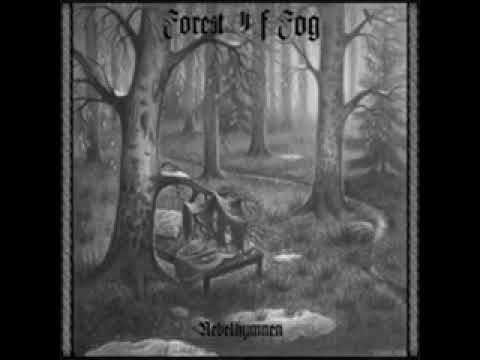 Forest of fog -Feuersturm