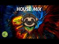Upbeat Study Music House Mix For Deep Focus Sloth Isochronic Tones