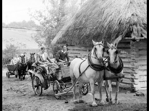 Dawne czasy na fotografii - cz.4 - Szynwałd i okolice.