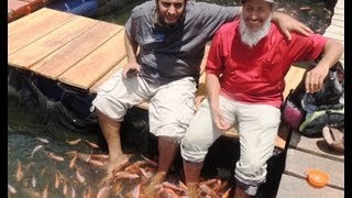 preview picture of video 'مساج الاسماك بنهر مادو في سيلان-رحال الخبر-Massage Fish Madhu River in Ceylon-Rahal Alkhobar'