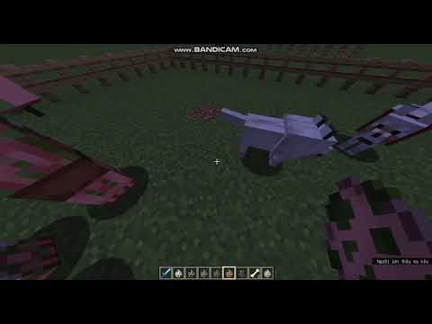 Minecraft Tamed wolf vs other mobs