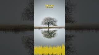 Miniature YouTube : Solitude | Musique Ambiante & Relaxation par Soochrys