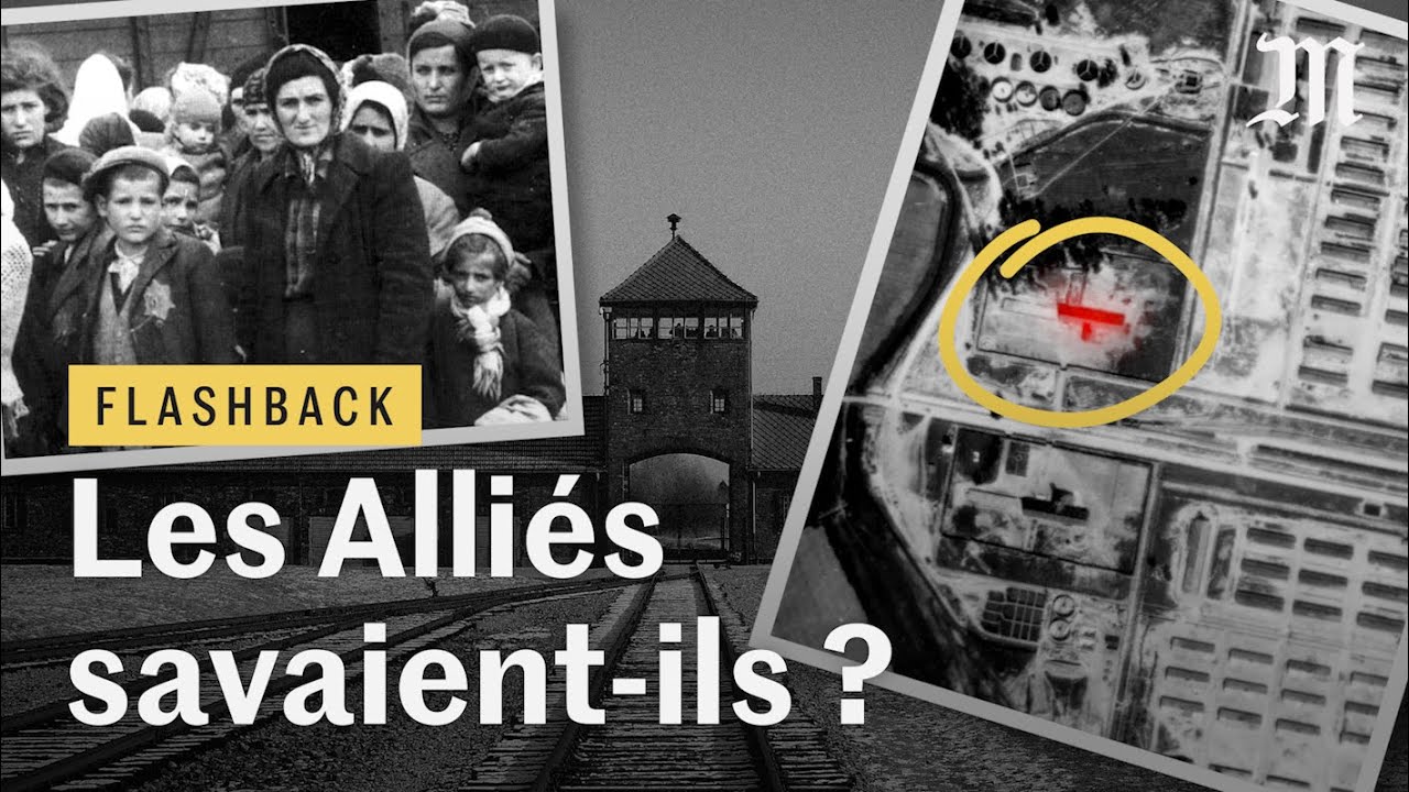 Auschwitz : que savaient les Alliés de la Shoah ? - Flashback #8