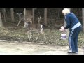 Branson Missouri Woman Hand Feeds Wild White ...