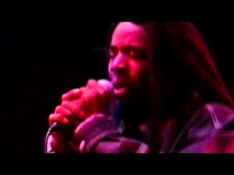 MVDvisual Presents Half Pint Featuring Dubcat - "One Big Family"