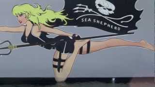 EXCLUSIVE: Sea Shepherd, Vessel SSS Brigitte Bardot Docking in Los Angeles
