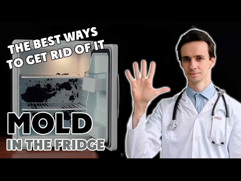 Say Goodbye to Mold Forever! 🧼✨ Top 5 SAFEST Ways to Clean Your Fridge (No Toxic Chemicals!)