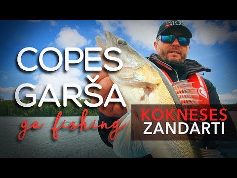 Copes Garša - Zander from Koknese! Does the color matter? [LV, RUS, ENG sub]