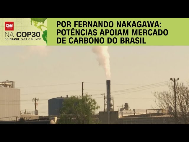 Análise: Potências apoiam mercado de carbono do Brasil | CNN PRIME TIME
