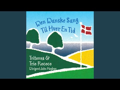 Snemand Frost Og Frøken Tø