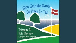 Snemand Frost Og Frøken Tø