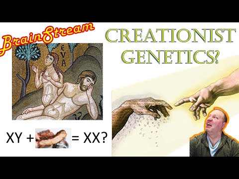 Creationist Genetics: How can you make a woman out of a man's rib?