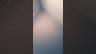 eels- numbered days (short cover)