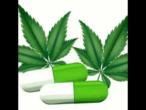 New negues ft waka company (fill it)2029