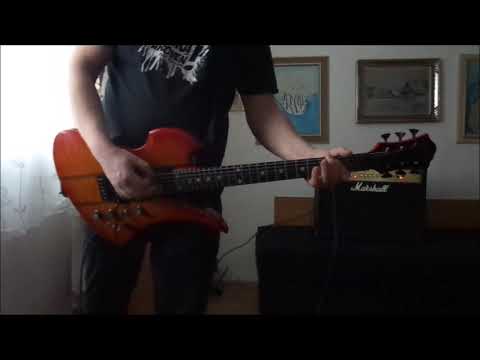 Jiří Schelinger - Nám se líbí... ( cover )