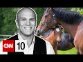 How Scientists Proved Horses Really Can Smell Fear January 16 2026