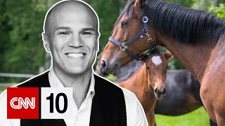 How scientists proved horses really can smell fear | January 16, 2026