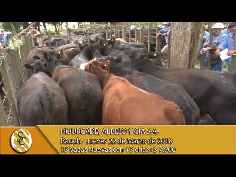 22-03-18 Venta de Vientres - Hourcade, Albelo y Cia S.A. - Rauch.