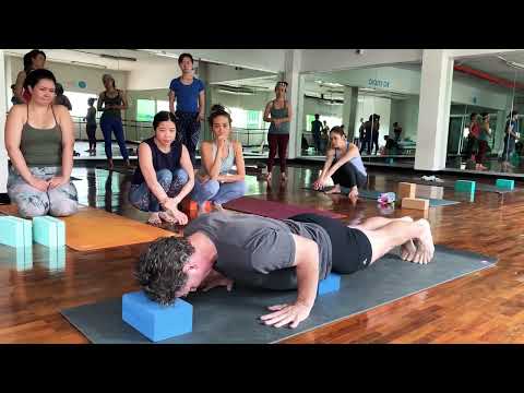 Chaturanga Dandasana Iyengar workshop with Les Smith