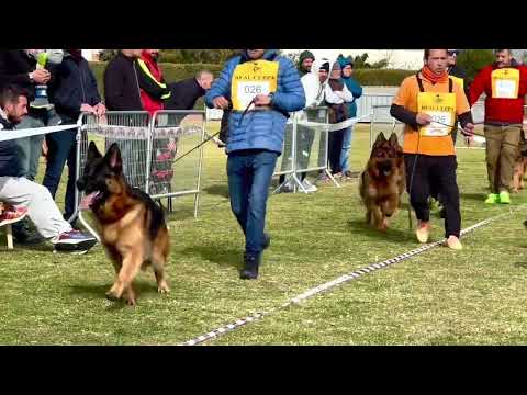 Eros team Tierras Charras