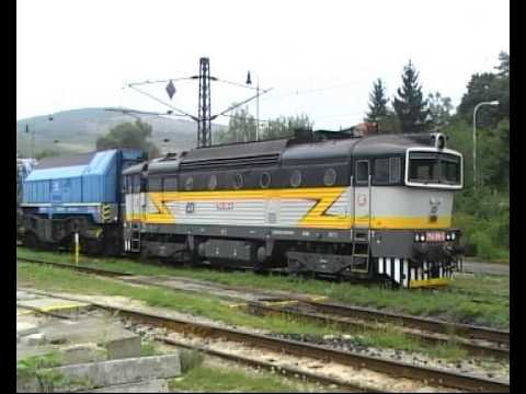 DKV Brno a jejich krasavci