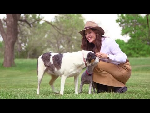 download lagu mp3 mp4 Jennifer Garner Oklahoma, download lagu Jennifer Garner Oklahoma gratis, unduh video klip Jennifer Garner Oklahoma